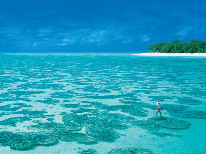 Heron Island